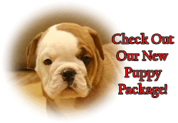 Puppy Package