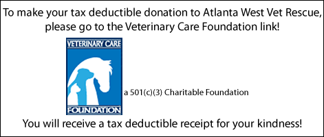 Donate Today!